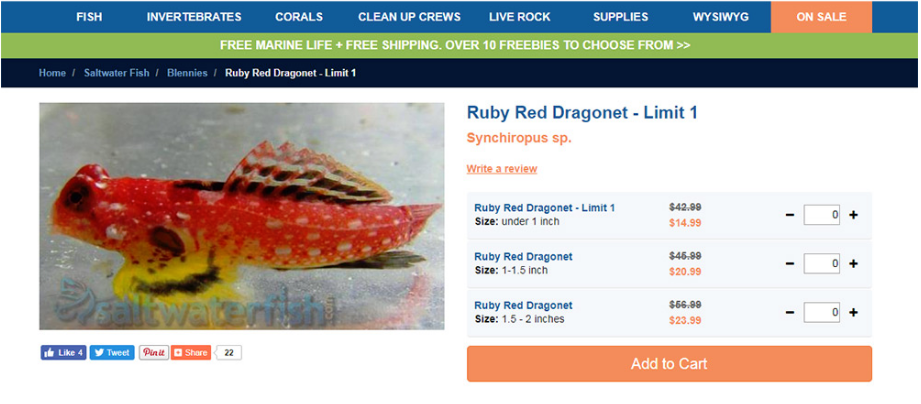 電子商務(wù)產(chǎn)品頁面設(shè)計:網(wǎng)頁設(shè)計師的最佳實(shí)踐和技巧-瑩晨建站-prodigallitmag.com 電子商務(wù)產(chǎn)品頁面設(shè)計:網(wǎng)頁設(shè)計師的最佳實(shí)踐和技巧-瑩晨建站-prodigallitmag.com