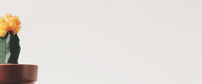 移動設(shè)計中留白設(shè)計定義和重要性-瑩晨建站-prodigallitmag.com