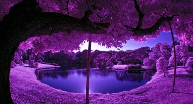 網(wǎng)站設(shè)計(jì)師制作的4種顏色錯(cuò)誤-瑩晨建站-prodigallitmag.com