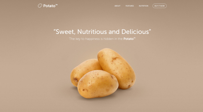 網(wǎng)站主頁創(chuàng)意的5個(gè)提示-瑩晨建站-prodigallitmag.com 網(wǎng)站主頁創(chuàng)意的5個(gè)提示-瑩晨建站-prodigallitmag.com