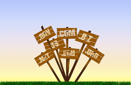 網(wǎng)站建設(shè)